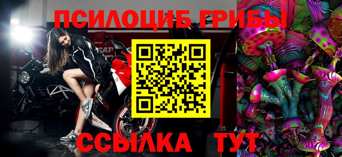 Псилоцибиновые грибы мухоморы Бугульма