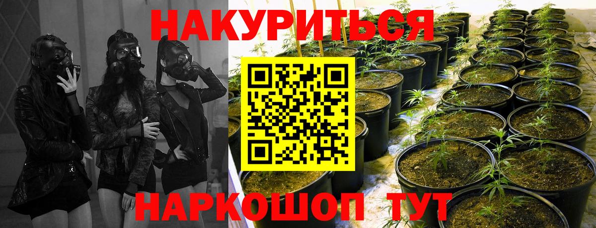 Бошки марихуана индика  Вход с VPN  Бугульма  Канабис сатива 
